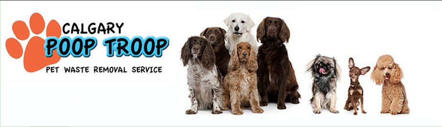 Calgary Pet Waste Removal and Pooper Scooper Service